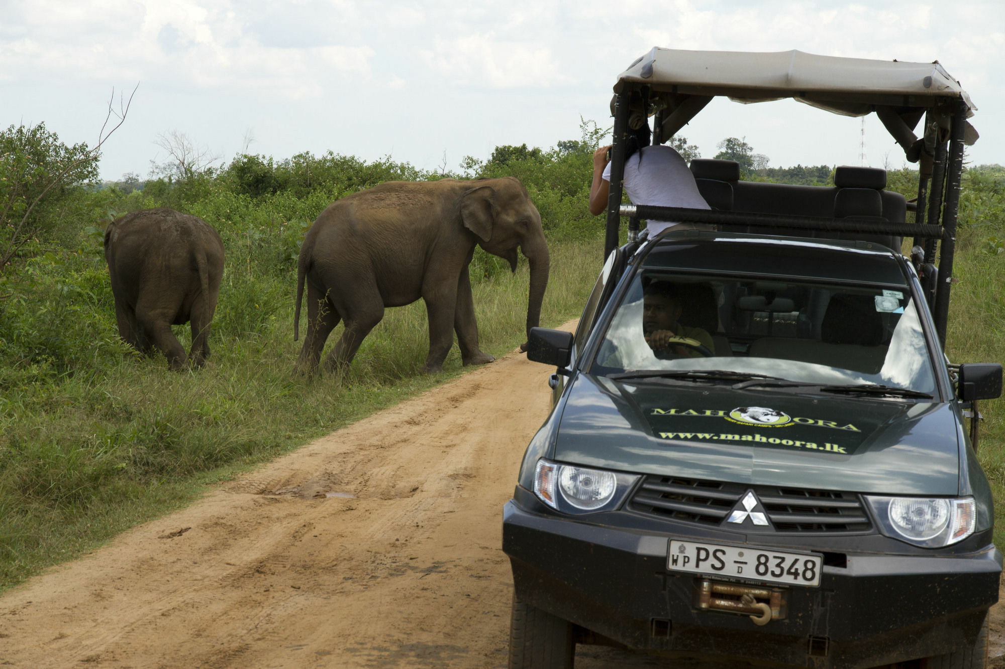 Mahoora Tented Safari Camp Udawalawe Exterior photo