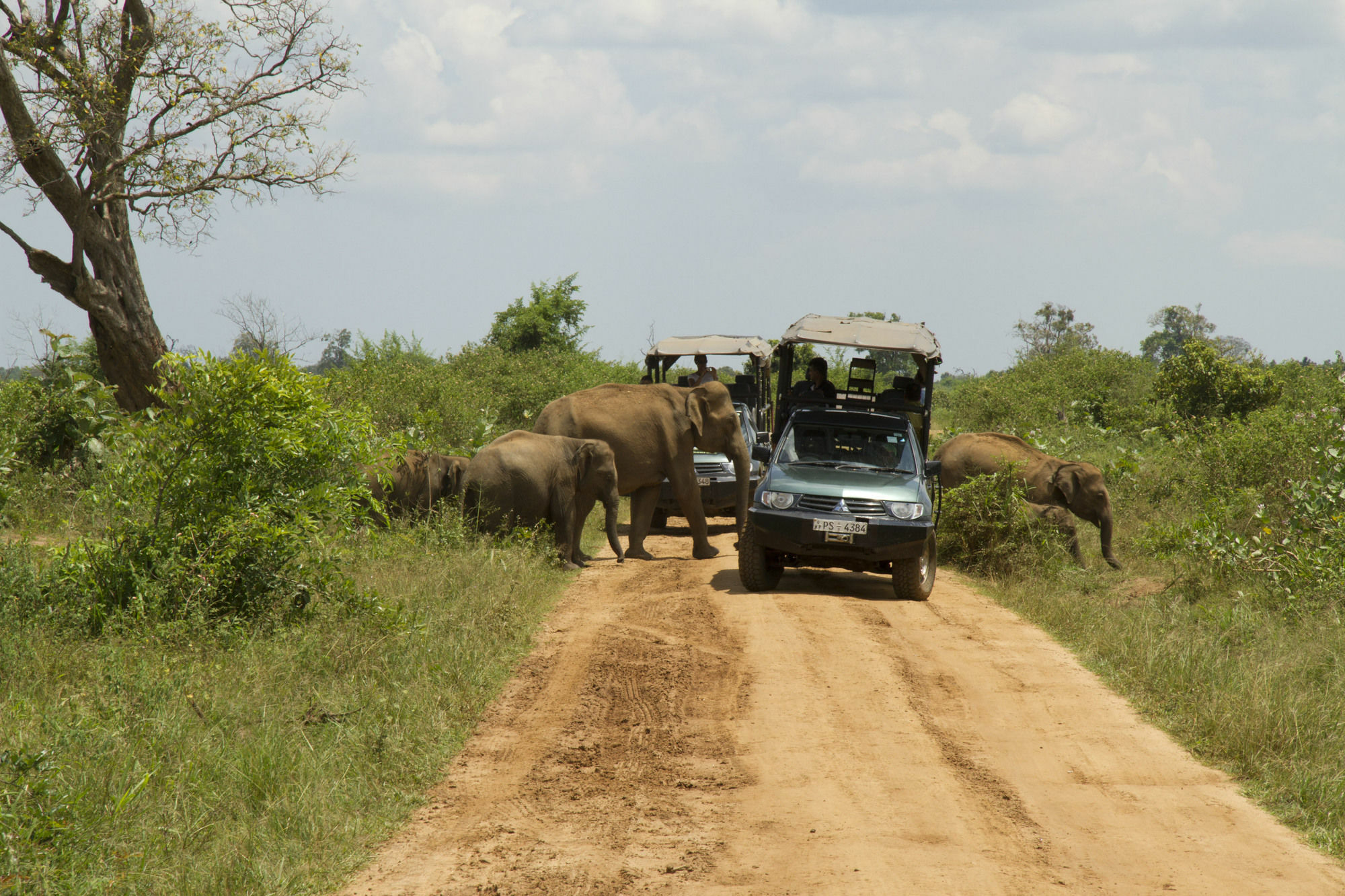 Mahoora Tented Safari Camp Udawalawe Exterior photo