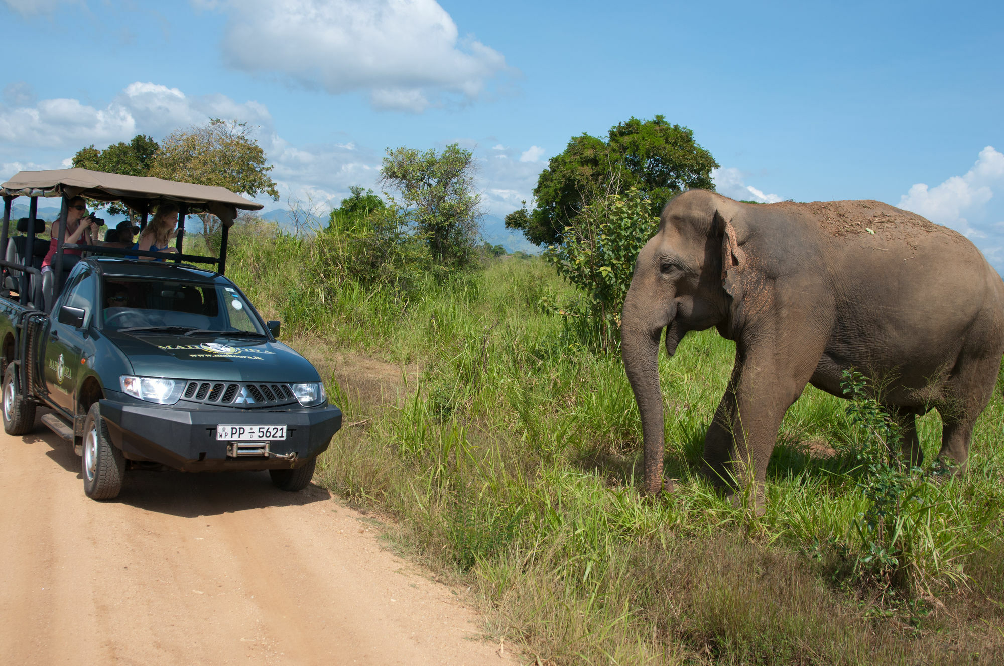 Mahoora Tented Safari Camp Udawalawe Exterior photo