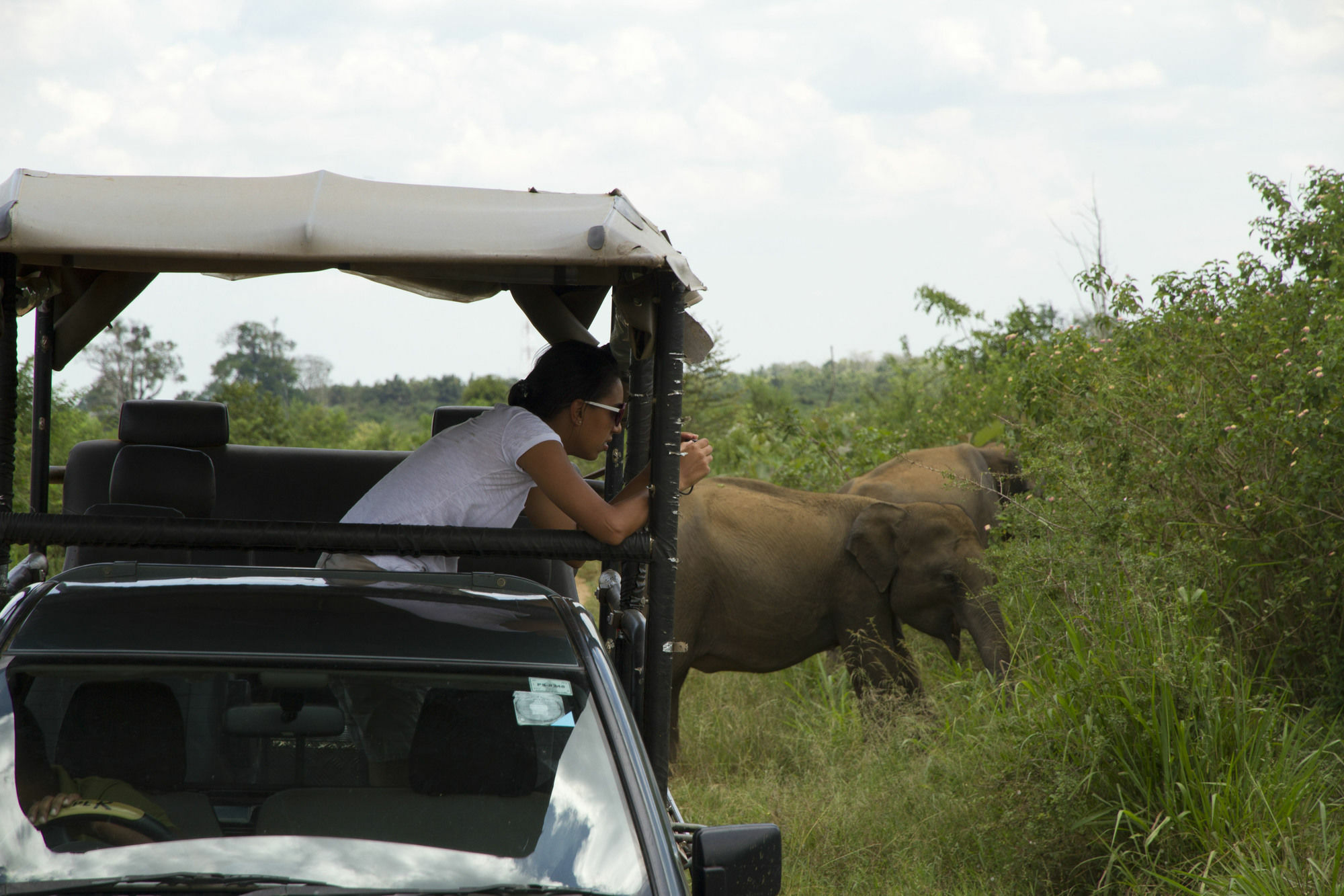 Mahoora Tented Safari Camp Udawalawe Exterior photo