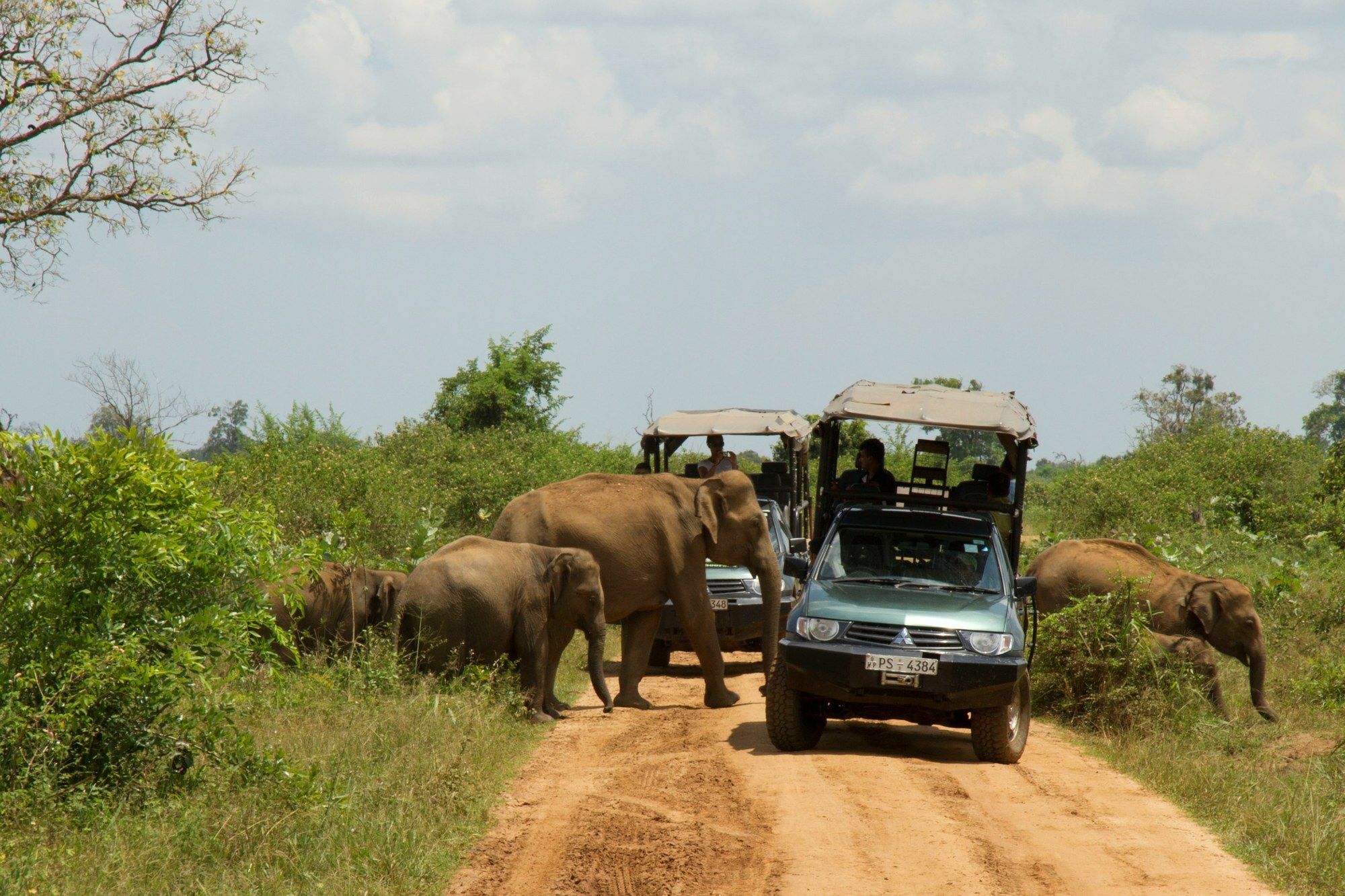 Mahoora Tented Safari Camp Udawalawe Exterior photo