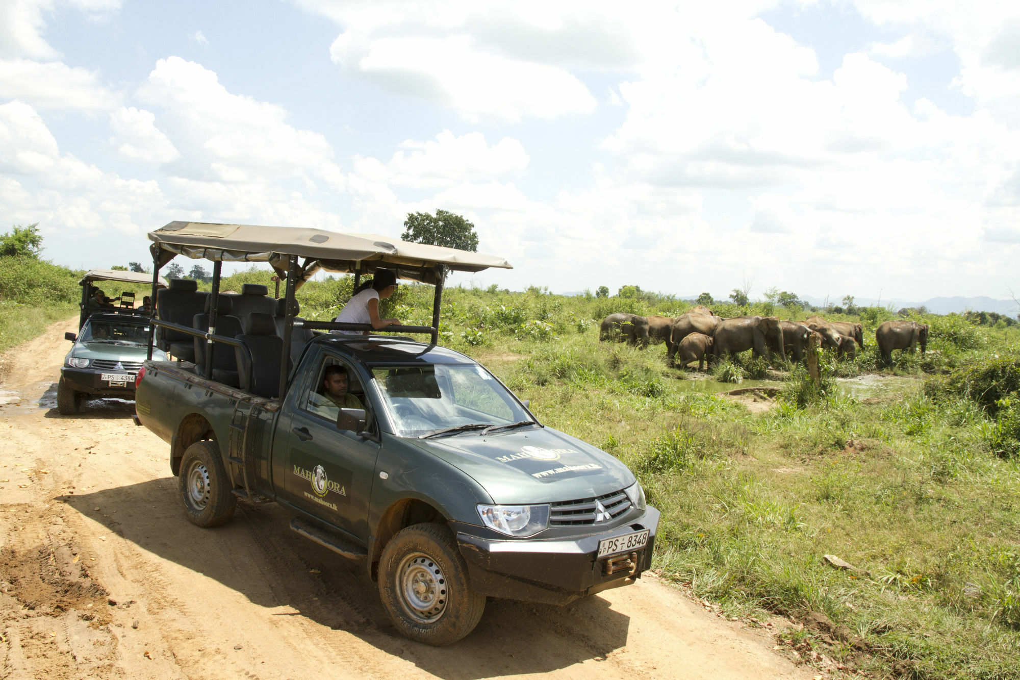 Mahoora Tented Safari Camp Udawalawe Exterior photo