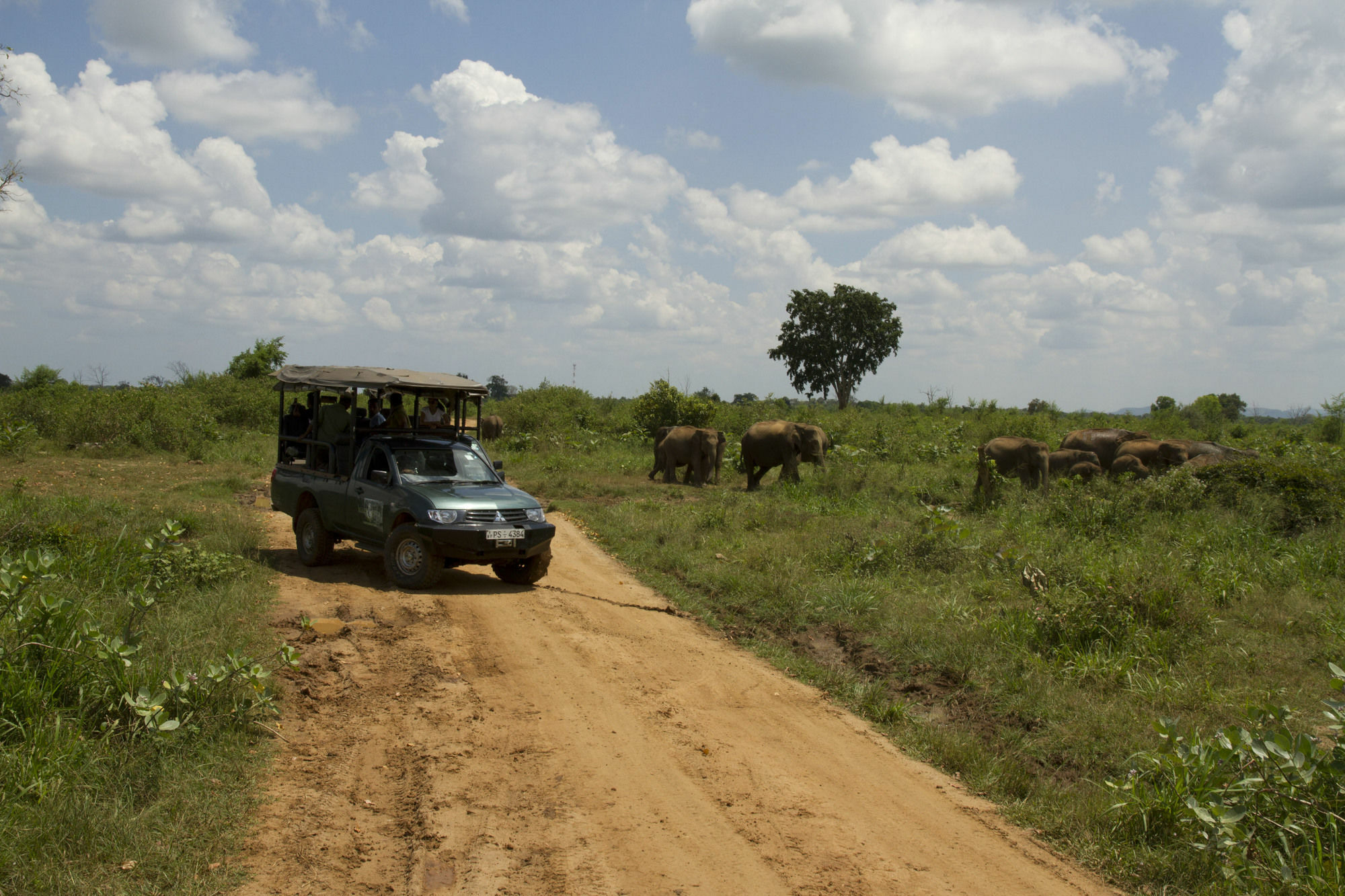 Mahoora Tented Safari Camp Udawalawe Exterior photo